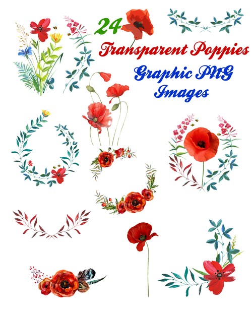 Product picture 24 Poppy Flowers and Branches Clip Art Transparent PNG Files